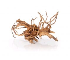 Koreň Finger Wood