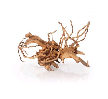 Koreň Finger Wood