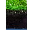 ADA Aqua Soil Amazonia Powder