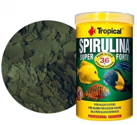 TROPICAL Spirulina Super Forte 36%