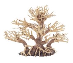 BONSAI TREE 20X10X15CM