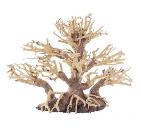 BONSAI TREE 20X10X15CM