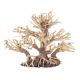 BONSAI TREE 20X10X15CM