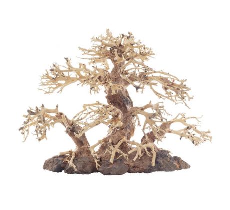 BONSAI TREE 30X15X23CM