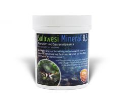 SaltyShrimp Sulawesi Mineral 8,5