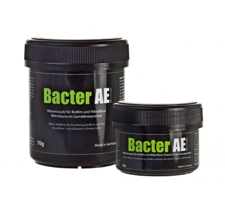 GlasGarten Bacter AE