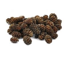 Jelšové šišky 20g - 70ks