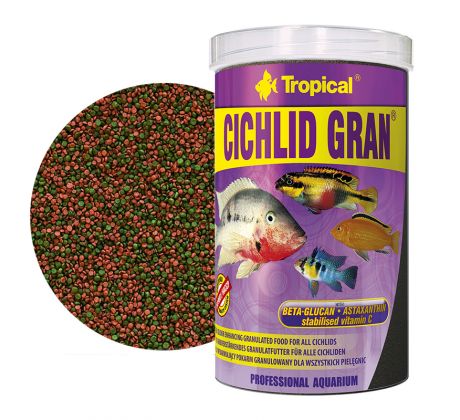 Tropical Cichlid Gran
