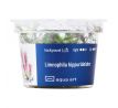 Limnophila Hippuridoides /in Vitro Aqua art/