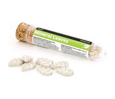 GlasGarten Mineral Leaves 8 ks