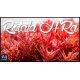 Rotala sp. ’H’ra’ /in Vitro Aqua art/