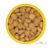 JBL ProNovo Crabs Wafer M 100ml