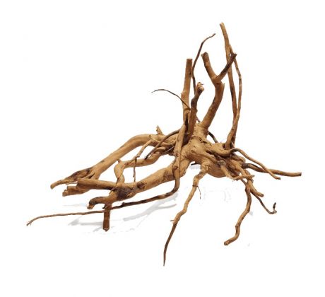 Koreň RED MOOR WOOD