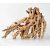 Bonsai Octopus Wood